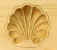 Shell 1.jpg (36550 bytes)