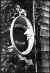 Crescent Moon B&W.jpg (46743 bytes)